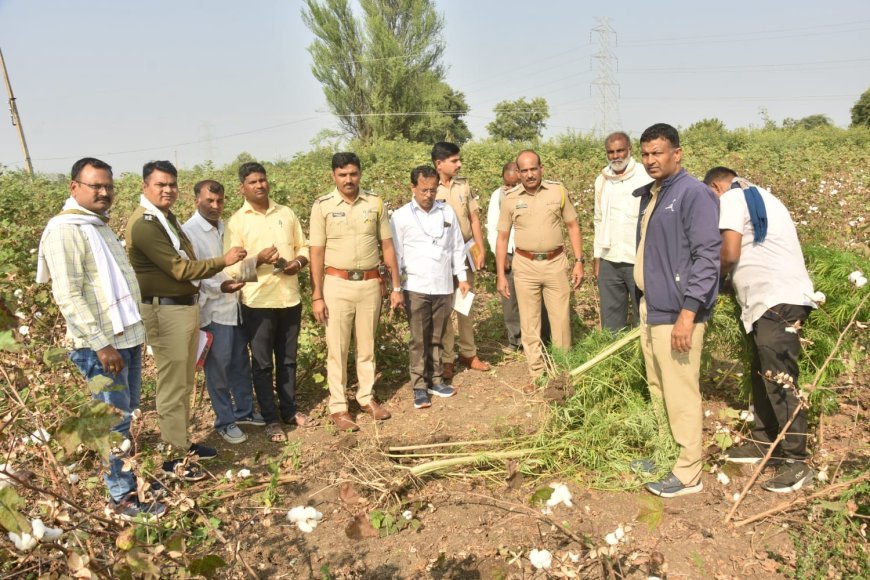 पिशोर पोलीसांचा गांजा छापा एक लाख ९५३६०रु गांजा जप्त.  आरोपी गजा आड