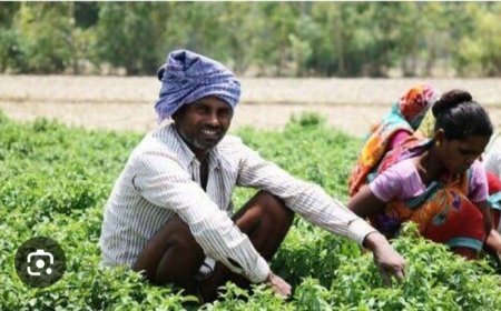 परप्रांतीय मजुरामुळे जिल्ह्यातील मजुरांवर संकट 