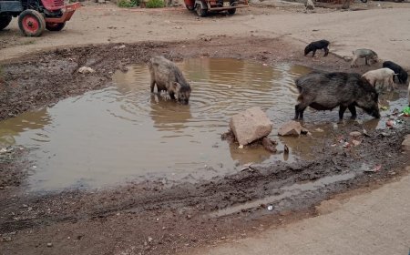 चंद्रकांत लाडे यांचा आंदोलनाचा इशारा