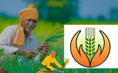 फळपिक विमा योजनेस अर्ज करण्यासाठी चार दिवसांची मुदतवाढ कृषिमंत्री अॅड. माणिकराव कोकाटे