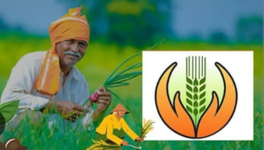 फळपिक विमा योजनेस अर्ज करण्यासाठी चार दिवसांची मुदतवाढ कृषिमंत्री अॅड. माणिकराव कोकाटे