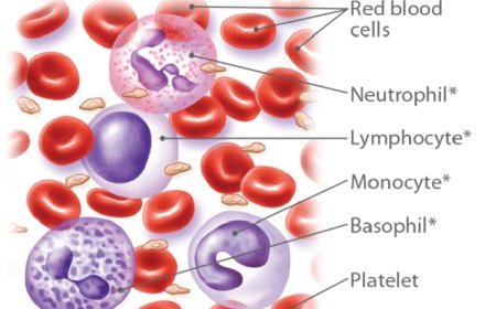 छोटे भाई के स्टेम सेल दान से बची बड़े भाई की जान मुख्यमंत्री सहायता निधि से ₹25 लाख की आर्थिक मदद