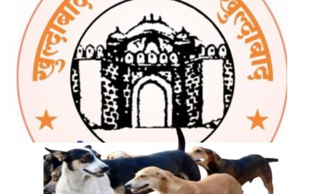 खुलताबाद नगरपरिषद को ज्ञापन  आवारा कुत्तों के लिए डॉग शेल्टर और वैक्सीन लगाने की मांग