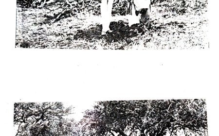 Mr.Sajid son of Zahiruddin ki biography coming soon