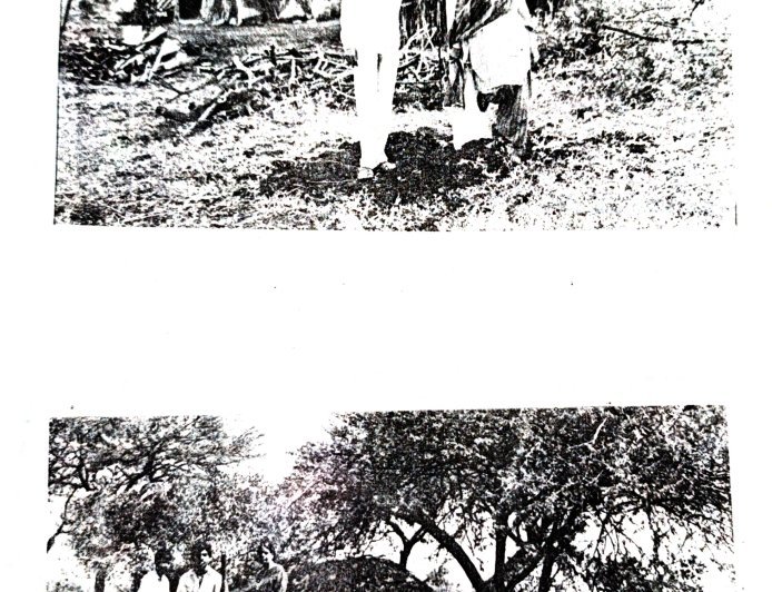 Mr.Sajid son of Zahiruddin ki biography coming soon