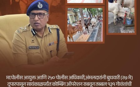 गोवंश बरामदगी मामला: क्या आरोपियों पर लगेगा मकोका? पुलिस आयुक्त का बड़ा बयान