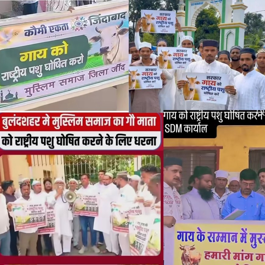 After Eid prayers, demand was raised from Eidgahs across the country – “Mother cow should be declared the national animal.”
