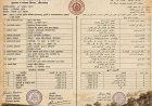 अजंता गुफाओं के संरक्षण में निजाम सरकार की भूमिका पर नया विवाद, AI द्वारा बना ग्राफिक हुआ वायरल