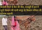 बिजली गिरने से बैल की मौत, मजबूरी में हल में जुड़ी किसान की पत्नी लातूर के किसान परिवार की दर्दनाक कहानी