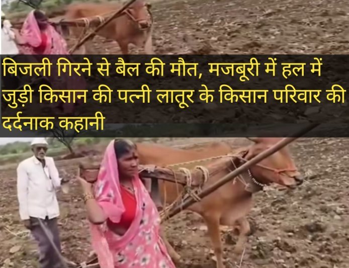 बिजली गिरने से बैल की मौत, मजबूरी में हल में जुड़ी किसान की पत्नी लातूर के किसान परिवार की दर्दनाक कहानी